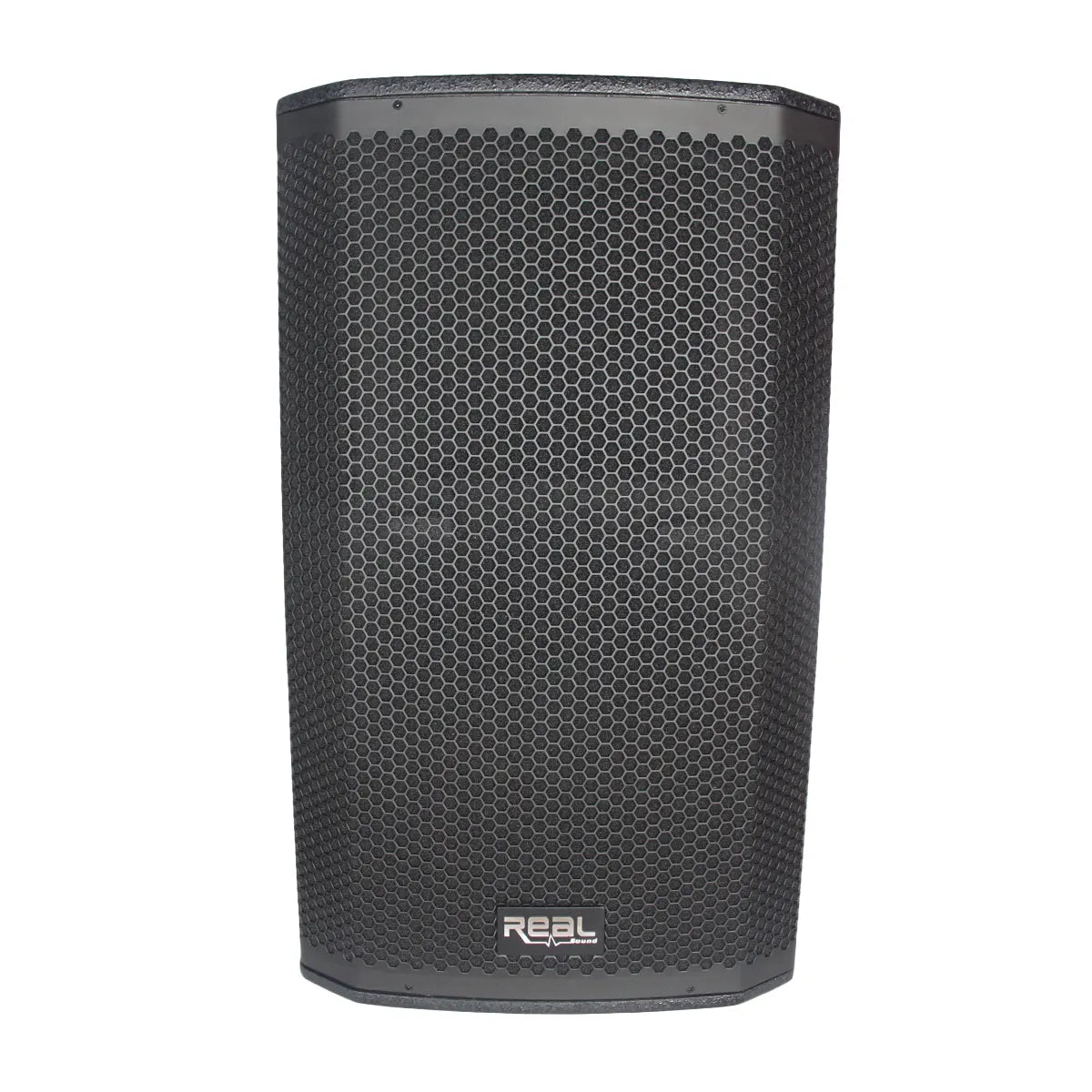 Real Sound MS-15/2+ Full Range Passive Speaker