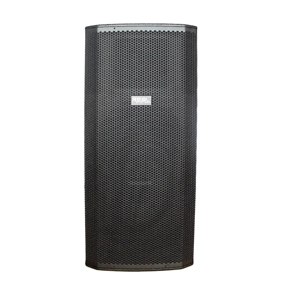 Real Sound MS-215/2+ 15″ Dual Passive Speaker