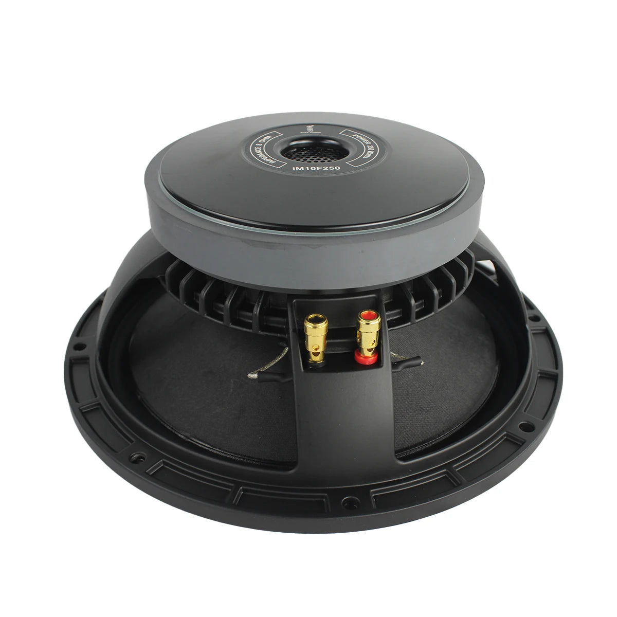 Imix IM10F250 10″ 250W Loose Speaker